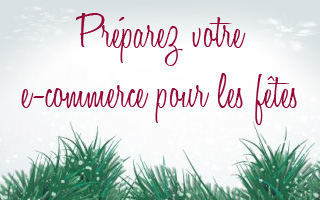 E-commerants, le compte  rebours de Nol a commenc !