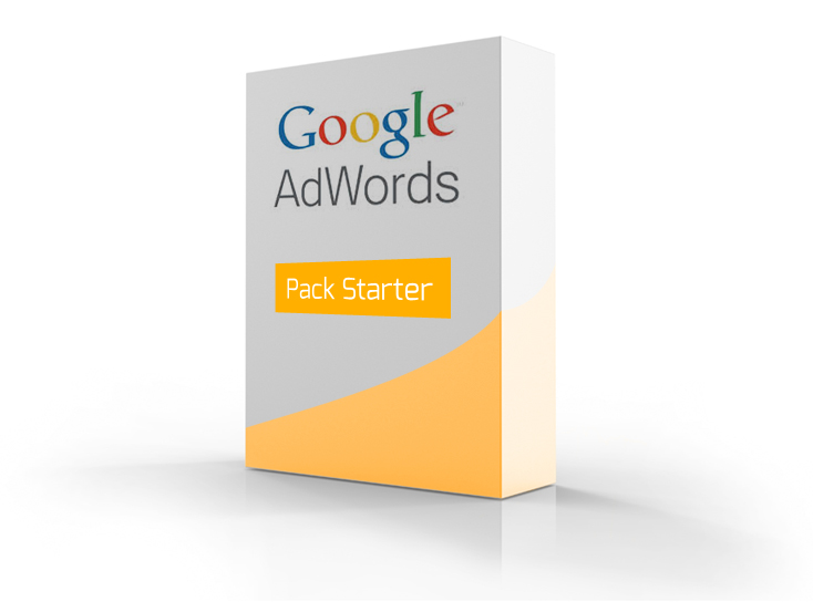 Référencement Adwords Starter